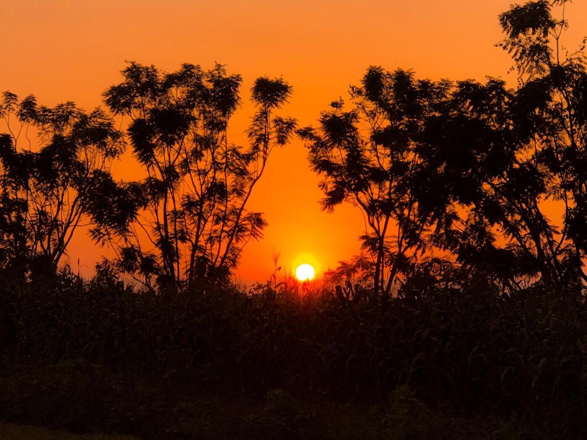 Arusha Holiday Safari Zewnętrze zdjęcie