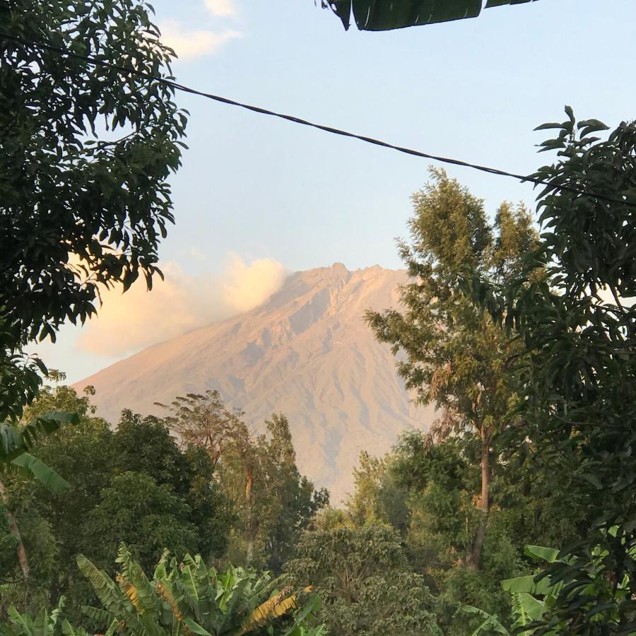 Arusha Holiday Safari Zewnętrze zdjęcie