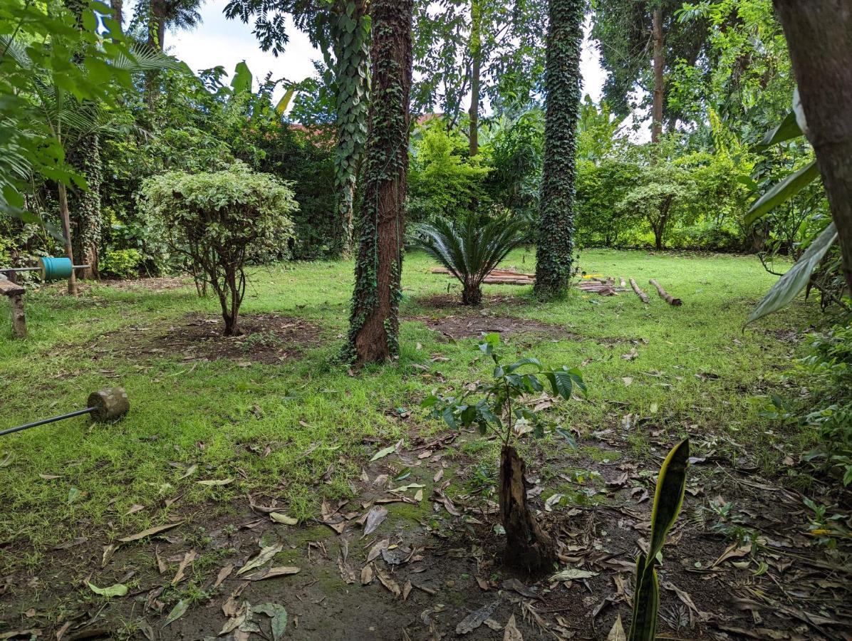 Arusha Holiday Safari Zewnętrze zdjęcie